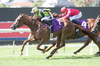 Eleonora (NZ) takes out the G3 Sunline Vase. Photo: Trish Dunell. 